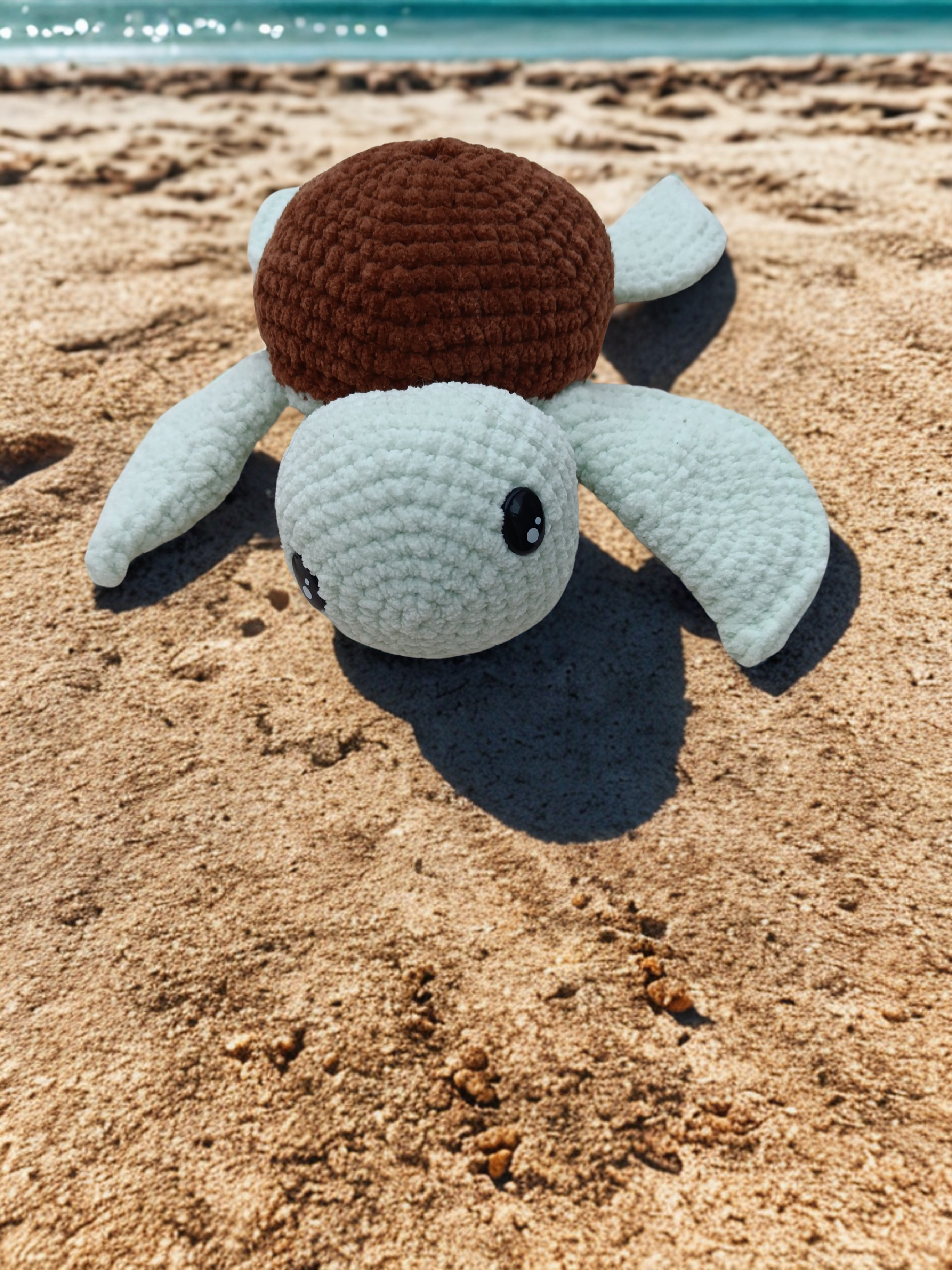 Tortue 🐢