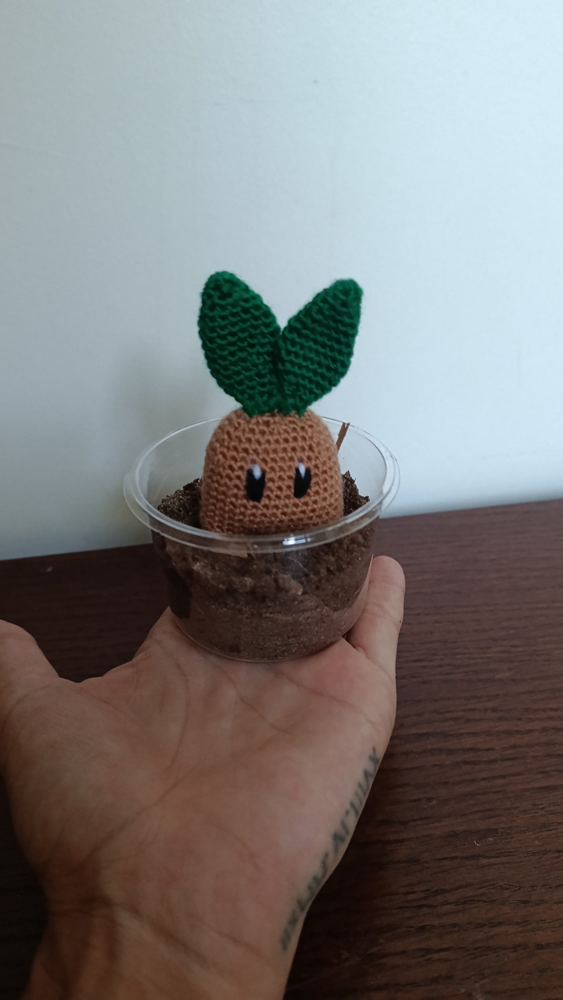 Mandragore